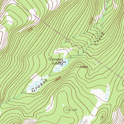 Topographic Map of Grouse Lake, CO
