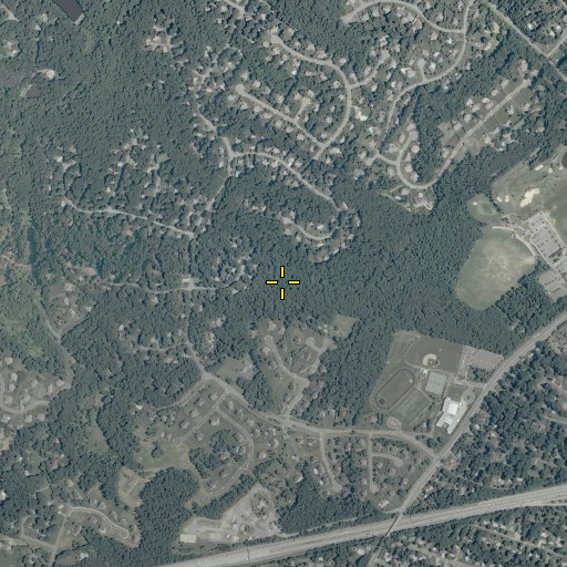 Aerial/Satellite Image of Tattersall Park, VA