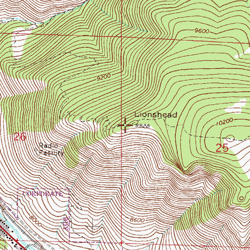 Topographic Map of Lionshead, CO