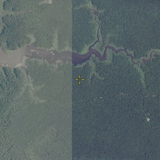 Aerial/Satellite Image of Mason Neck State Park, VA
