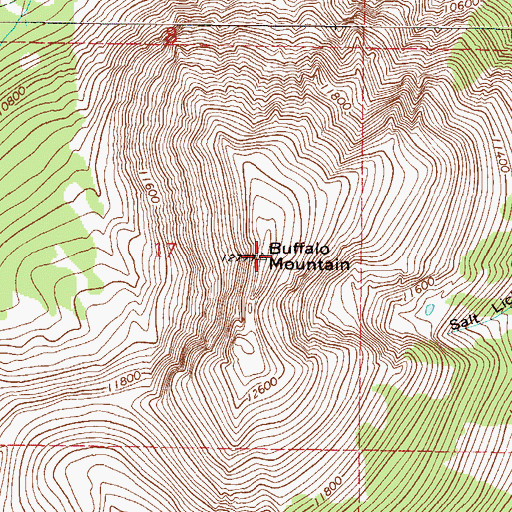 Topographic Map of Buffalo Mountain, CO