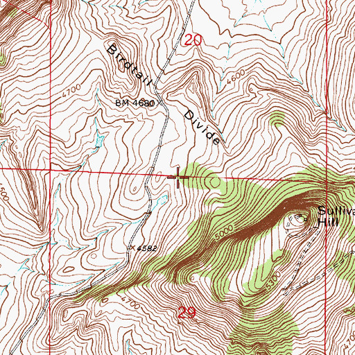 Topographic Map of Bullwhacker Springs, MT