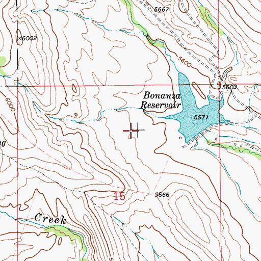 Topographic Map of Bonanza (historical), MT