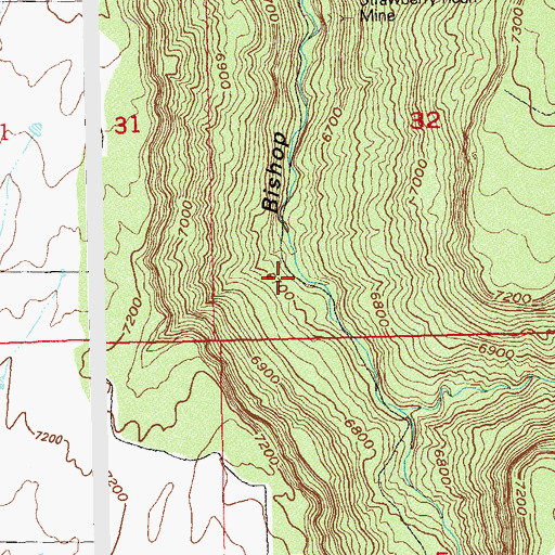 Topographic Map of Strawberry Roan Mine, CO