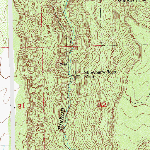 Topographic Map of Strawberry Roan Mine, CO