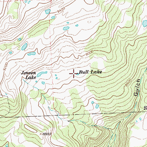 Topographic Map of Bull Lake, CO