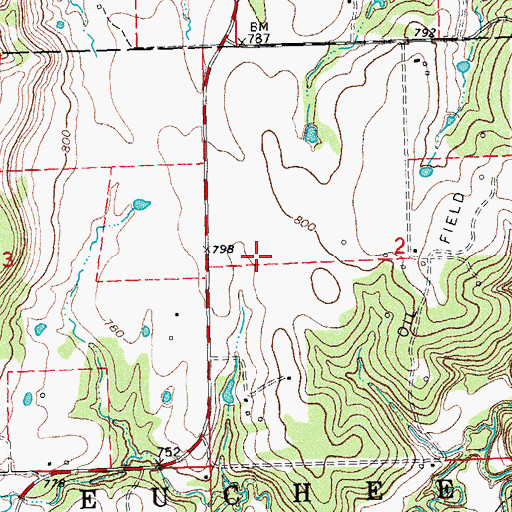 Topographic Map of Skagway, OK