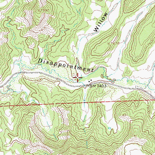 Topographic Map of Willow Gulch, CO