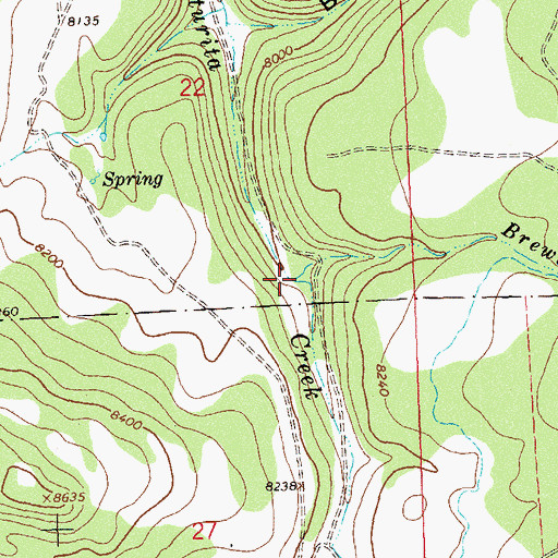 Topographic Map of Brewster Creek, CO