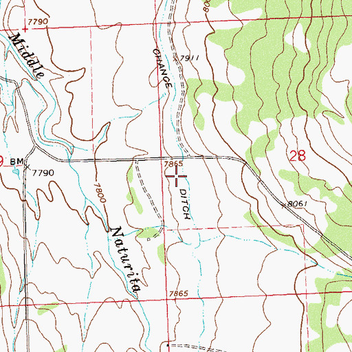 Topographic Map of Last Chance Ditch, CO