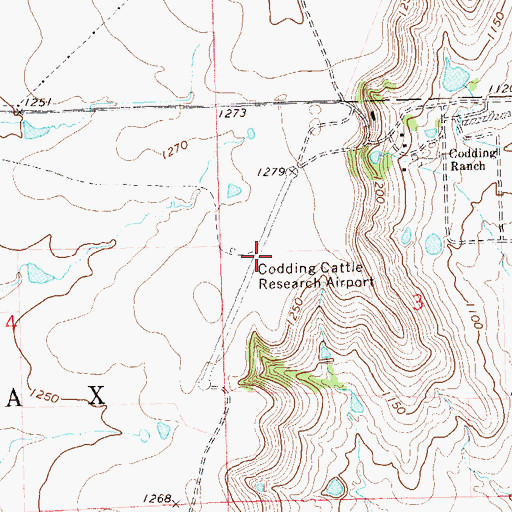 Topographic Map of Codding Cattle Research Airport (historical), OK