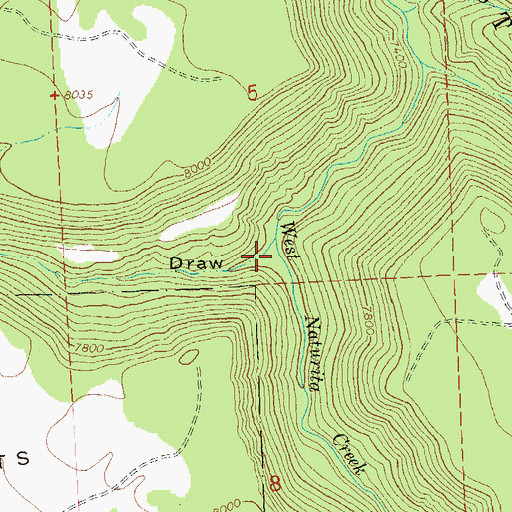 Topographic Map of Wheeler Draw, CO