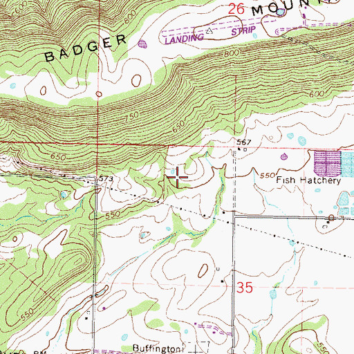 Topographic Map of Blue Ribbon Downs, OK