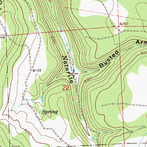 Topographic Map of Busted Arm Draw, CO