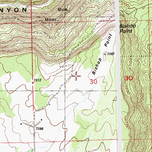 Topographic Map of Red Ant Mine, CO