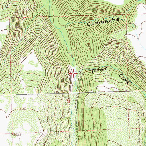 Topographic Map of Turner Creek, CO