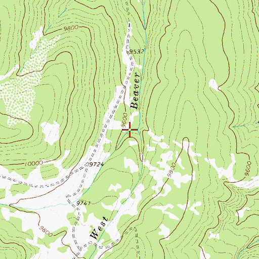 Topographic Map of West Fork Beaver Creek, CO