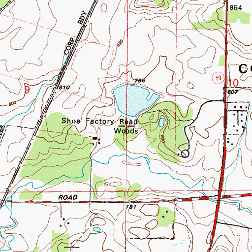 Topographic Map of Shoe Factory Road Woods, IL