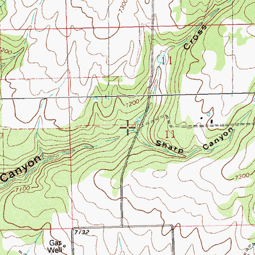 Topographic Map of Sharp Canyon, CO