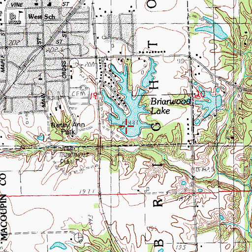 Topographic Map of Briarwood Lake, IL