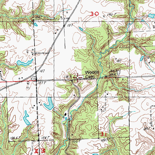 Topographic Map of Woods Cemetery, IL