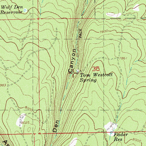 Topographic Map of Tom Westcott Spring, CO