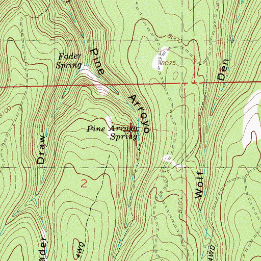 Topographic Map of Pine Arroyo Spring, CO