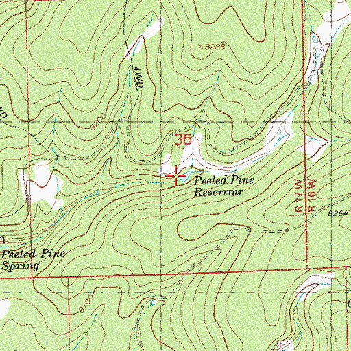 Topographic Map of Peeled Pine Reservoir, CO