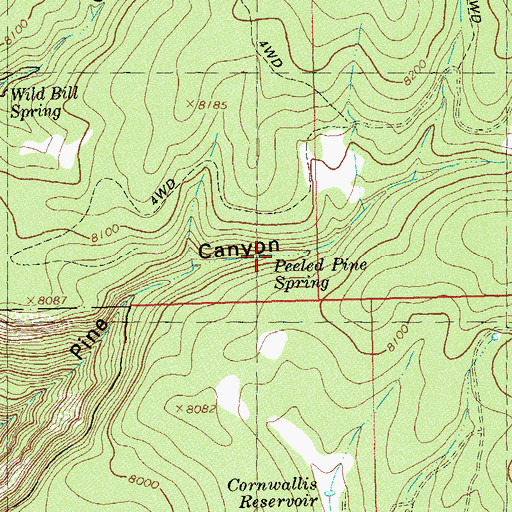 Topographic Map of Peeled Pine Spring, CO