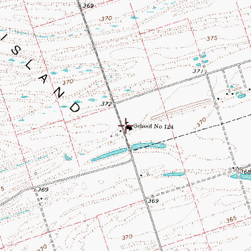 Topographic Map of School Number 124, IL