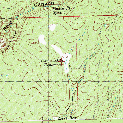 Topographic Map of Cornwallis Reservoir, CO
