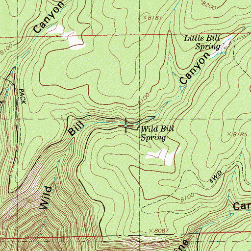 Topographic Map of Wild Bill Spring, CO