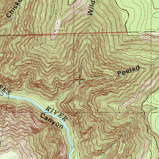 Topographic Map of Peeled Pine Canyon, CO