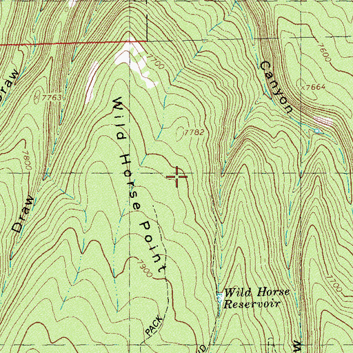 Topographic Map of Wild Horse Point, CO