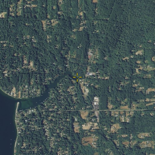 Aerial/Satellite Image of Issei Creek, WA