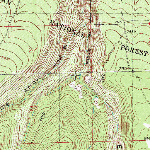 Topographic Map of East Branch Pine Arroyo, CO