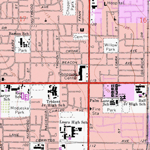 Topographic Map of Ball and Euclid Plaza Shopping Center, CA