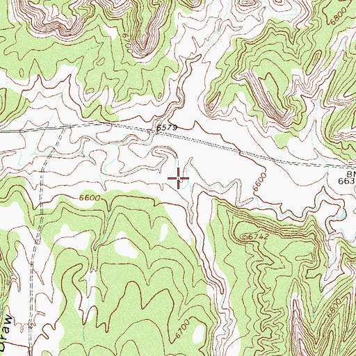 Topographic Map of Ryman Creek, CO