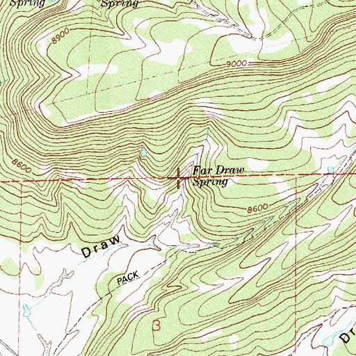 Topographic Map of Far Draw Spring, CO