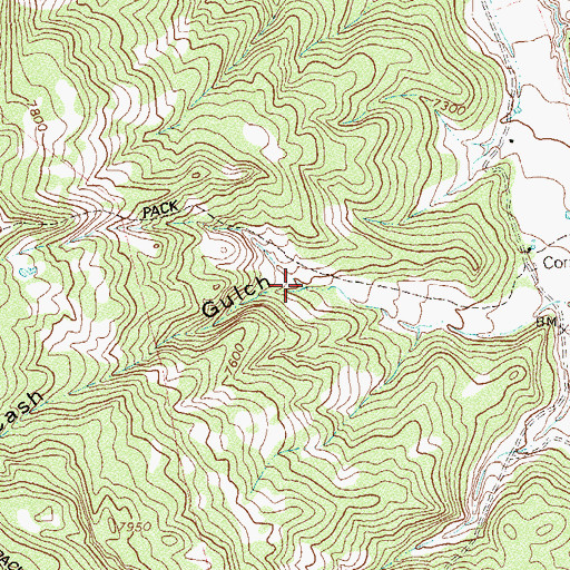 Topographic Map of Cash Gulch, CO