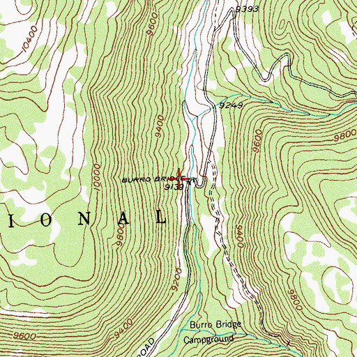 Topographic Map of Burro Bridge, CO