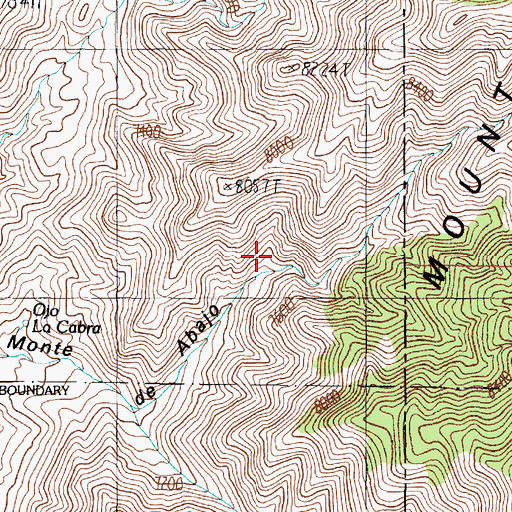 Topographic Map of Monte De Abajo Spring, NM