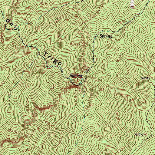 Topographic Map of Trigo Spring, NM