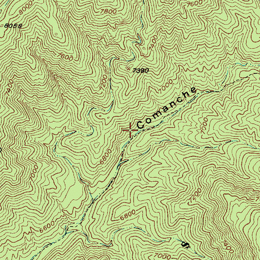 Topographic Map of Comanche Spring, NM