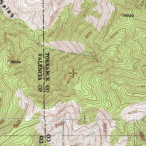 Topographic Map of Bear Spring, NM