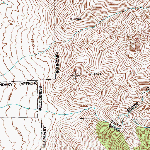Topographic Map of Upper Encino Spring, NM