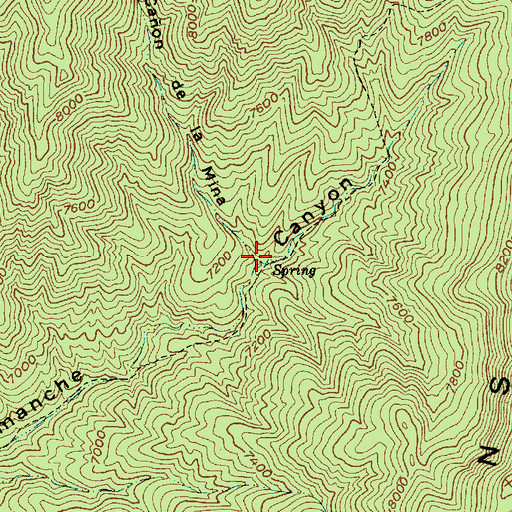 Topographic Map of Mina Spring, NM