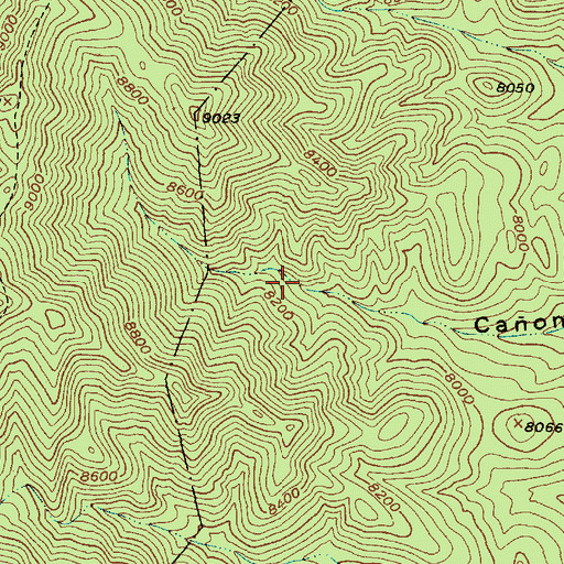 Topographic Map of Sherman Spring, NM