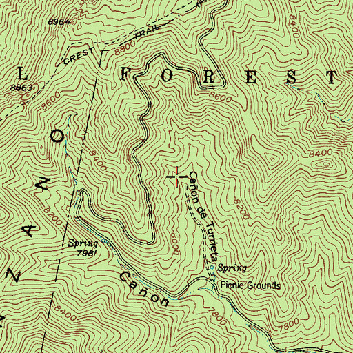 Topographic Map of Turrieta Spring, NM