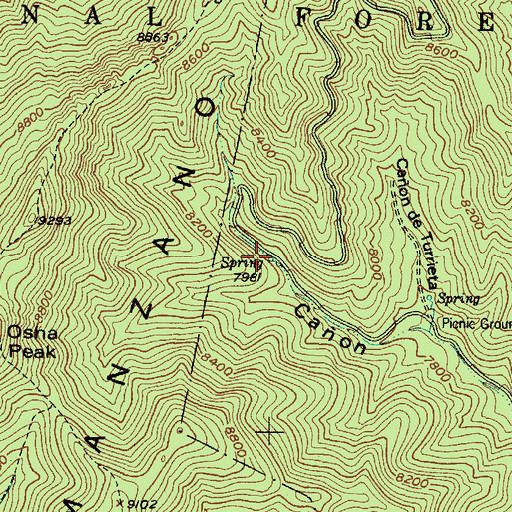Topographic Map of New Canyon Number One Spring, NM